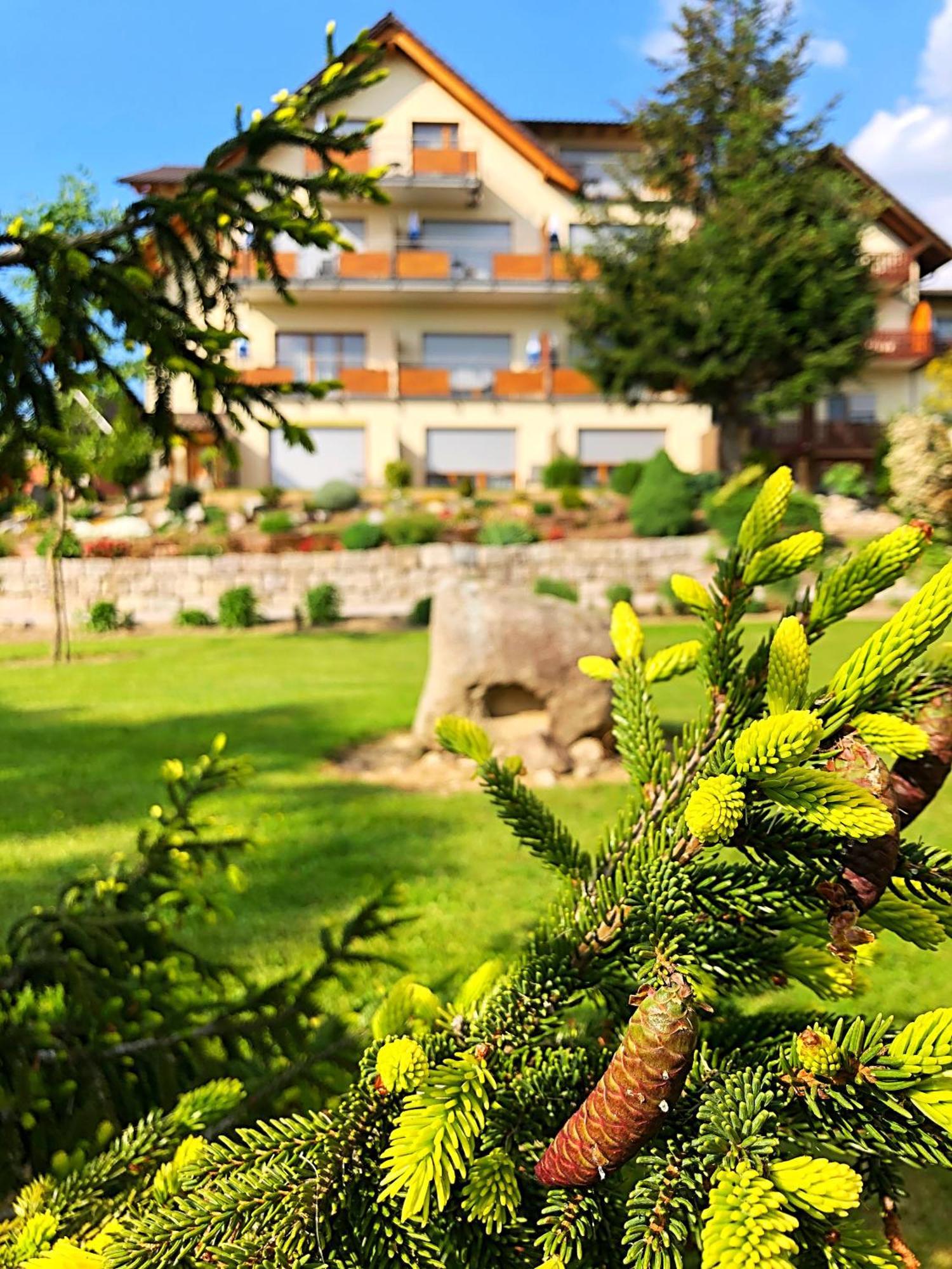 Hotel-Gasthof Rose Oberkirch  Exterior photo