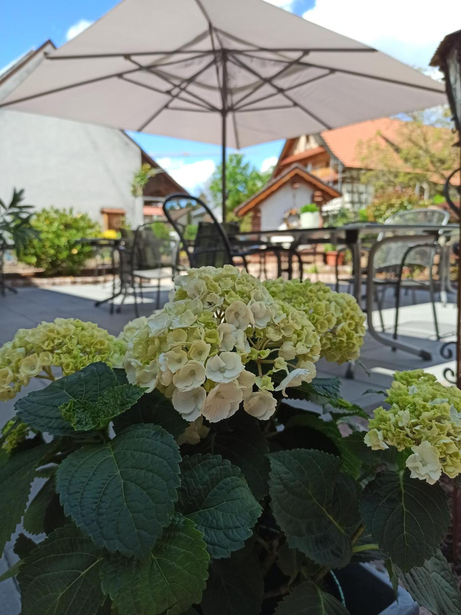 Hotel-Gasthof Rose Oberkirch  Exterior photo